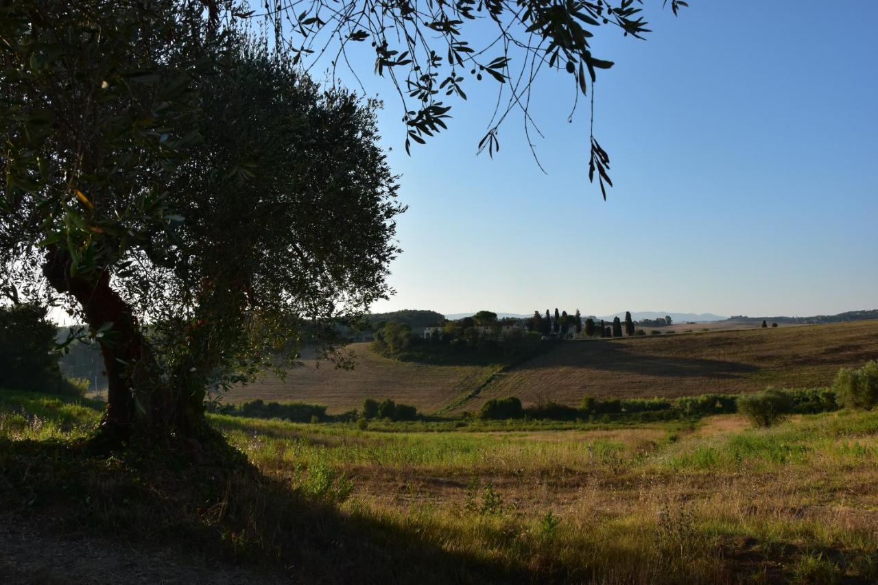 Agriturismo Cheloni Guasticce Экстерьер фото