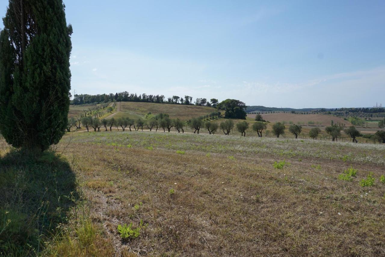 Agriturismo Cheloni Guasticce Экстерьер фото
