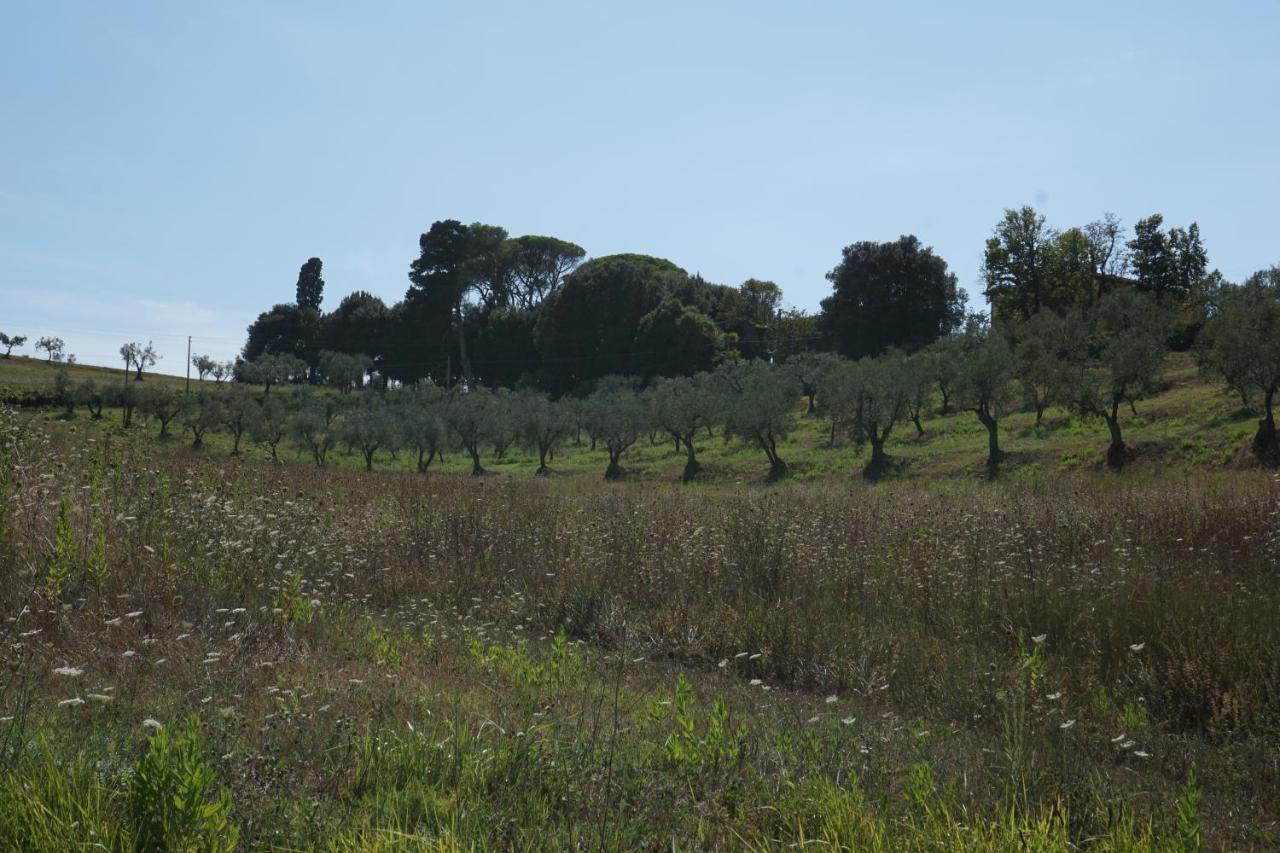 Agriturismo Cheloni Guasticce Экстерьер фото